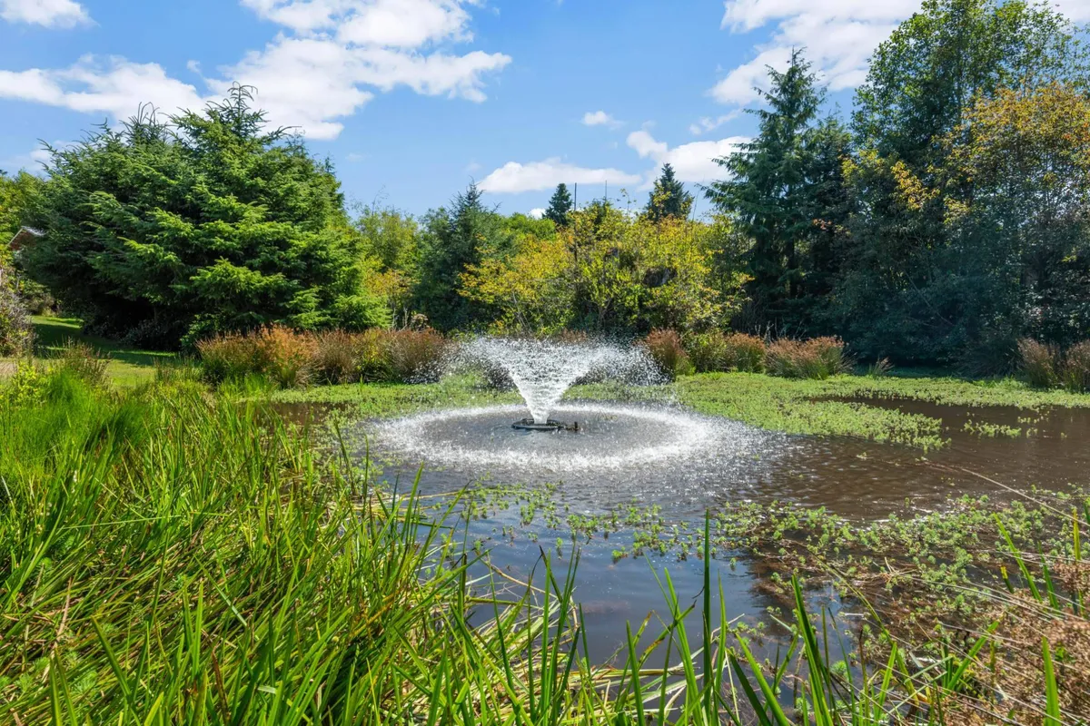 A tranquil pond with a central fountain is surrounded by lush green foliage and dappled sunlight, offering a peaceful spot for relaxation and quiet family moments outdoors.